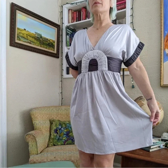 Silver and Dark Grey Silver A-Line Rainbow Dress BCBG Generation Sz 2 - Picture 4 of 6